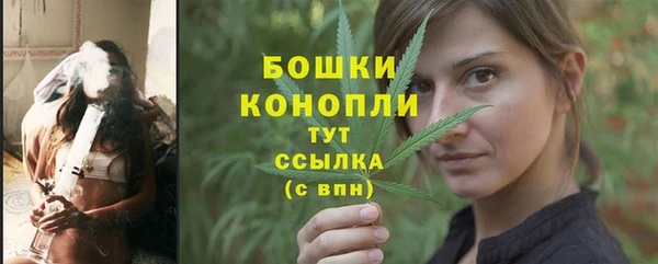 прущий лед Белокуриха