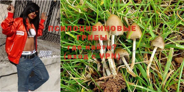 гашиш Белоозёрский