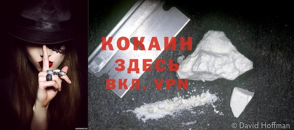гашик Семикаракорск
