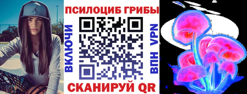 где продают наркотики  Володарск  Псилоцибиновые грибы мухоморы 
